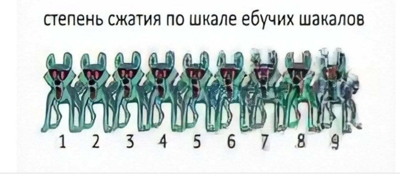 Шкала сжатия по шакалам: один и тот же шакал на 9 уровнях деградации